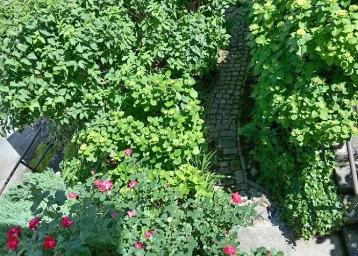 Carlotta House-lt * Bellano